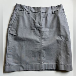 Ann Taylor Skirt